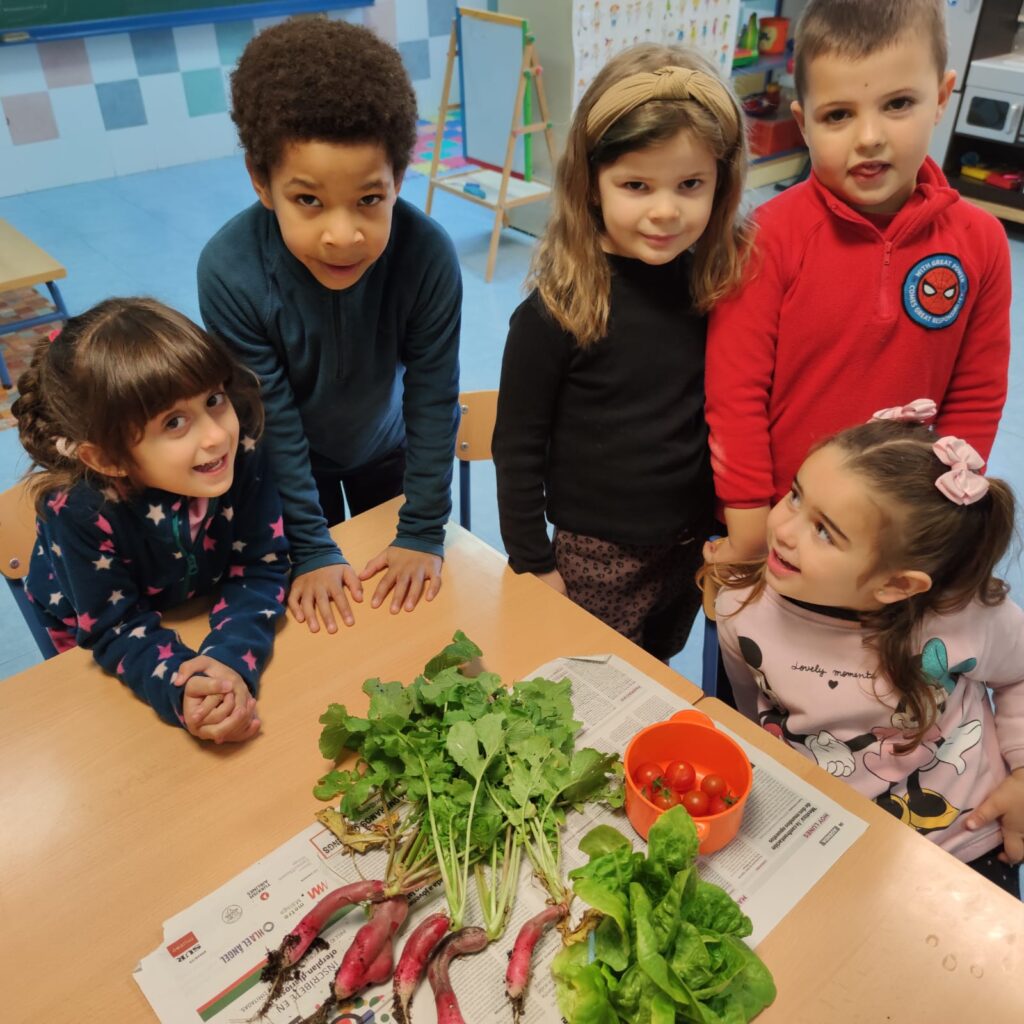 Plantamos y cosechamos nuestro huerto: Programa Creciendo en Salud 21-22